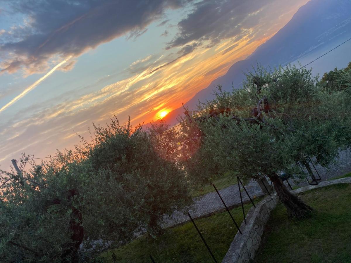 Redhouse Benaco Apartman Torri del Benaco Kültér fotó